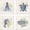 Homeroots Set Of Four Coastal Sea Creatures White Framed Print Wall Art, 4PK 527015 - alternate 1