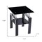 Homeroots Black Glass and Metal Square End Tables With Shelf 635676 - alternate 2