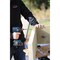 Grk Fasteners GRK RSS Rugged 5/16'' x 2-3/4'' Star Drive Washer-Head Structure Screw, 100 Ct. 12219 - alternate 3