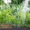 Preen Weed Preventer Granules 5 lb 24-64153 - alternate 2