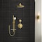 Grohe Ntempesta Shw Head Wall Mount 26409GN0 - alternate 2