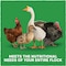 Kent Multi-Flock Chick N Game 50 Lb. Starter/Grower Crumble 3678 - alternate 3