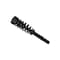Fcs Struts Suspension Strut And Coil Spring Assembly 1335543L - alternate 3