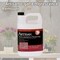 Chemique Artisan 1-gal. Efflorescence Remover CHEM-ARTISAN-EFFLOR1GAL - alternate 2