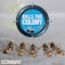 Combat Source Kill 0.21 Oz. Solid Ant Bait Station, 6PK DIA 45901CT - alternate 2