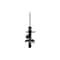 Fcs Struts Suspension Strut 333823R - alternate 2