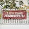 Signmission Farm Fresh Strawberries, 48 Inch x 120 Inch, Vinyl Banner B-120-30616 - alternate 2