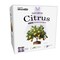 Miracle Led Citrus Tree Starter Grow Light Kit, 4KK Purple Spectrum, 2PK 803400 - alternate 1