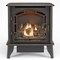 Bluegrass Living Panorama Vent Free Dual Fuel 3-Sided Gas Stove - 23,000 BTU, Remote Control, Black Finish BTSD23RT - alternate 1