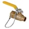 Everflow SWTx3/4" MHT Full Port Hose Ball Valve with Chain and Cap, Brass 1/2" CHBV-012-NL - alternate 1