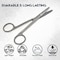 A2Z Scilab Lab Scissors 5.5 inches Blunt/Blunt Straight Blades, Stainless Steel A2Z-ZR-103S - alternate 3