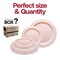 Smarty Had A Party Pink Vintage Round Disposable Plastic Dinnerware  Set (120 Dinner Plates+120 Salad Plates), 240PK 860PNKVP-CASE - alternate 2