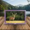 Befree Sound Portable 14 Inch LED TV with HDMI and Built-in Digital Tuner in Purple BFS-TV14-PUR - alternate 2
