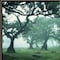 Homeroots Enchanted Forest II 4 Black Framed Print Wall Art 407844 - alternate 3