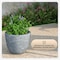 Leisuremod Dahlia Tapered Round Fiberstone & MgO Clay Planter with Cover, Weather-Resistant DP11AC - alternate 5