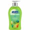 Softsoap Antibacterial Liquid Hand Soap - Sparkling Pear Scent - 11.25 fl oz - Pump Bottle Dispenser - US07326A - alternate 1