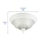 Westinghouse 2 LGT WHT Ceil Fixture 66162 - alternate 3