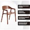 Leisuremod Rivo Collection Elegant Dining Chair in Dark Natural Wood, 4PK RC20LBR4 - alternate 2