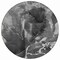 Homeroots 8' Round Black Gray and White Round Abstract Washable Non Skid Indoor Outdoor Area Rug 559447 - alternate 4