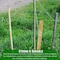 Farm Plastic Supply 4 Foot Wooden Stakes - 25 Per Bundle, Wooden Garden and Sign Posts, Silt Fence, Tomato Stakes Z-4FootStakes-4003 - alternate 2