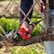 Felco Electric Pruner Kit with Standard Capacity Battery 812 - alternate 2
