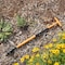 Kings County Tools Stand Up Weed Puller Tool w/ Long Handle Ergonomic Weeder Puller Weeding Without Bending GW12A04-19 - alternate 2