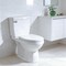 Highcraft Straight Toilet Tank Flush Lever w/Side Mount Toilet Handle Cut-to-Size Arm Fit Most Toilet US53-38D - alternate 2