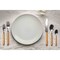 Mepra Fantasia Flatware Set - 5 Pieces - Orange 10O622005 - alternate 2