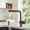 Blanco Linus Low Arc Pull-Out Dual-Spray Kitchen Faucet - Coal Black 526374 - alternate 4