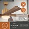 Vaxcel Wedgewood, 60 in, Satin Brass Ceiling Fan, Dark Elm Blades, LED, Remote, DC Motor F0133 - alternate 3