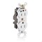 Leviton Straight Blade Receptacle, 5-15R, 15 A, 125V AC, Surface Mount, Isolated Ground M8200-IGW - alternate 2