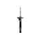 Fcs Struts Suspension Strut 335698L - alternate 1