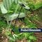 Kings County Tools Long Handle Grass Shears 36 in Edging Tool w/ Horizontal & Vertical 180-Degree Swivel Grass Clippers KC8807-18 - alternate 3