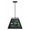 Holland Bar Stool University of Alabama at Birmingham Pendant Box Light BxLM1 - alternate 1