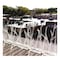 Bird-X 25 ft. Original Plastic Bird Spikes Coverage Pigeon Bird Repellent SP-25 - alternate 1