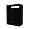 Homeroots Two Piece Black Bedroom Set 546359 - alternate 2