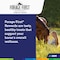 Adm Forage First Horse Rewards 3 Lb. Apple Horse Treat 80876AAAB2 - alternate 2