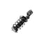 Fcs Struts Suspension Strut And Coil Spring Assembly 1333715R - alternate 2