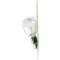 Philips 3456Llb2 Longerlife Mini Bulb, 3456Llb2 3456LLB2 - alternate 3