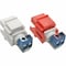 Tripp Lite RCA FEMALE AUDIO TO SCREW TERMINAL KEYSTONE JACK KIT RED/WHITE A050-000-ST-KJ - alternate 1