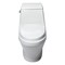 Alfi Brand EAGO Single Flush One Piece Ceramic Toilet TB133 - alternate 3