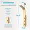 Anzzi Cici Series 39 in. 2-Jetted Shower Tower with Heavy Rain Shower and Body Jets SP-AZ081BG - alternate 2