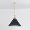 Hudson Valley Lighting Painted No. 2 Pendant in Aged Brass/Distressed Bronze by Mark D. Sikes MDS352L-AGB/DBL - alternate 2