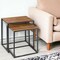 Homeroots Set of Two Brown and Black Metal And Faux Snake Leather Nesting End Tables, 2PK 383761 - alternate 3