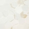 Msi Eden Calacatta Sample. Matte Porcelain Hexagon Floor & Wall Tile ZOR-PT-0635-SAM - alternate 2