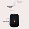 Jonathan Y Aurelia 13.75" 1-Light Scandinavian Japandi Adjustable Lantern Metal w/Ribbed Cocoon Capsule Shade L JYL4207C - alternate 4