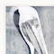 Homeroots Set Of Two Pelican Party White Framed Coastal Wall Art, 2PK 407082 - alternate 2