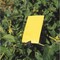 Olson Products Yellow Card Sticky Traps, PK25 TD26MSP35 - alternate 2
