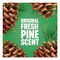Pine-Sol Multi-Surface Cleaner Disinfectant Concentrated, Pine Scent, 14 oz Bottle, 12PK 60146CT - alternate 2