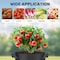 Yssoa Simple Deluxe Grow Bags 7 Gallon Planter Pots with Handles, Black, 5PK GLGROWBAG7X5BLKV2 - alternate 2
